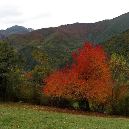 Llares Vakantiehuis Lerones